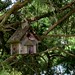 Janet Elmore Photo 24