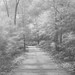Dawn Arroyo Photo 19
