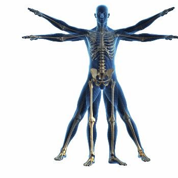 Alicia Fleming Photo 16