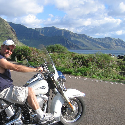 Jack Russell Photo 39