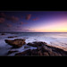 Dawn Risk Photo 6
