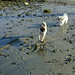 Margaret Riley Photo 51