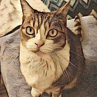 Janice Faust Photo 11