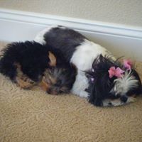 Cathy Andersen Photo 10