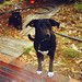 Sue Sykes Photo 21