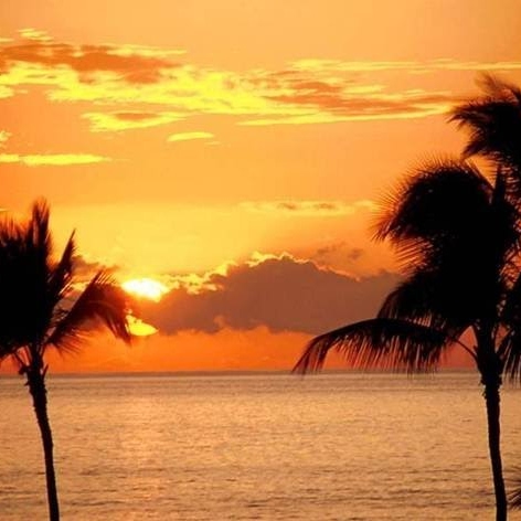 Missy Mccarty Photo 7