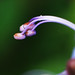 Amit Sharma Photo 24