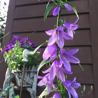 Kristin Krahn Photo 4