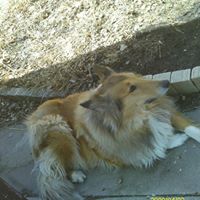 Mary Hite Photo 26