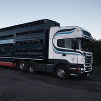 Robert Taff Photo 22