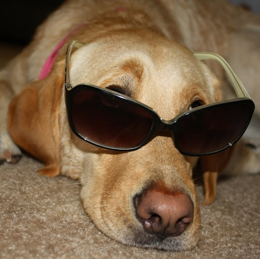 Michelle Ontiveros Photo 7