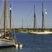 Martha Harbour Photo 11