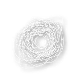 Steve Chang Photo 38