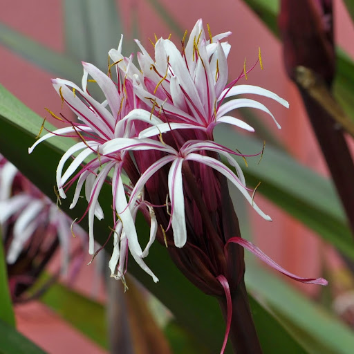 Cindy Johnston Photo 20