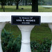Elaine Hughes Photo 9