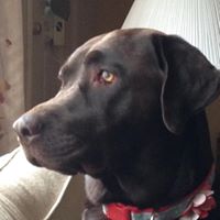 Kristine Schaefer Photo 23