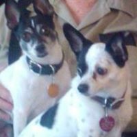 Sherman Frederick Photo 4