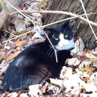 Laurie Mooney Photo 18