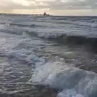 Kathleen Weinberger Photo 4