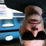 Robert Harder Photo 11