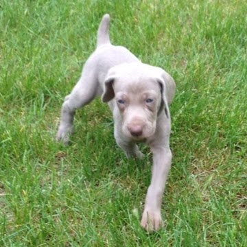 Cindy Mason Photo 12