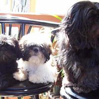 Rolando Oquendo Photo 5