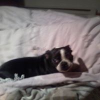 Ruth Douglas Photo 19