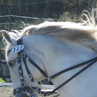 Catherine Christenson Photo 4