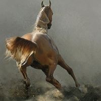 Stephen Keene Photo 19