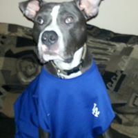 John Burkhart Photo 21