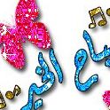 Tamer Nassar Photo 9