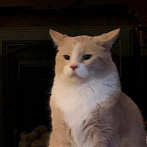 Angela Cheek Photo 11