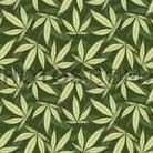 Duane Sutton Photo 24