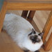 Janice Rogers Photo 34