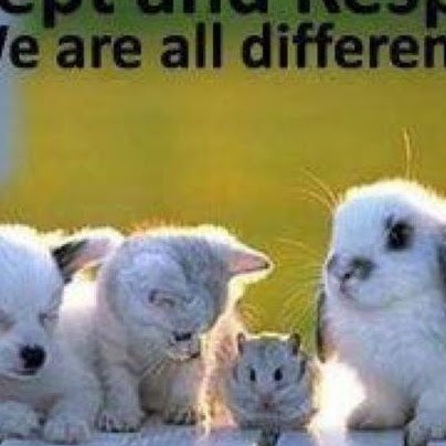 Tracy Bayne Photo 22