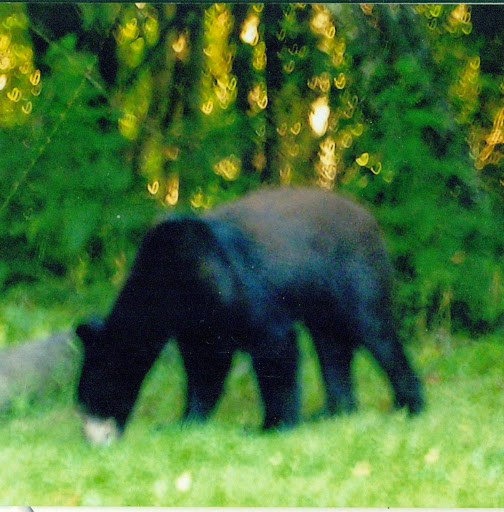 Cathy Epperson Photo 12