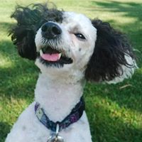 Sandra Corbett Photo 32