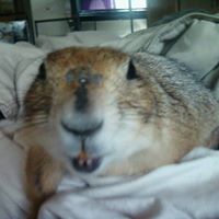 Virginia Gardner Photo 10