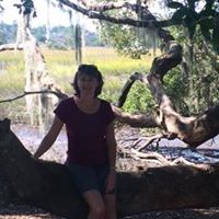 Stacy Whited Photo 3