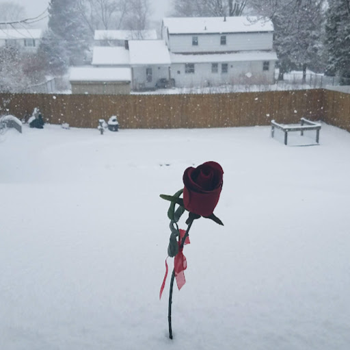 Colleen Manning Photo 40