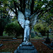 Angel Ross Photo 26