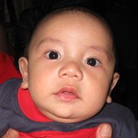 Robert Sylvester Photo 26