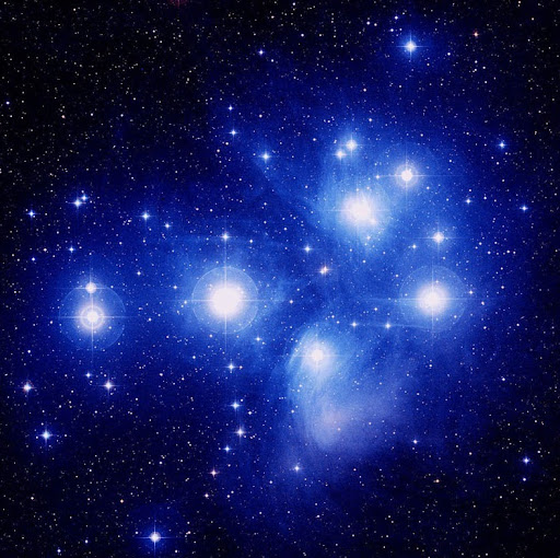 Charles Edmonds Photo 30