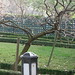 Cynthia Akin Photo 17