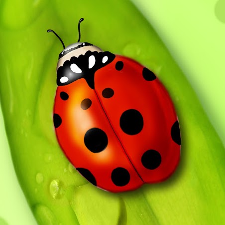 Janice Barrett Photo 15