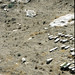 Israel Orta Photo 29