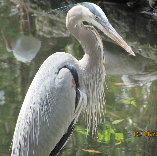 Patricia Mathis Photo 29