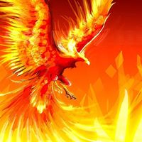 David Leclercq Photo 24