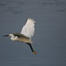 Dawn Hane Photo 11