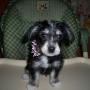 Debra Lester Photo 31